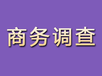 疏附商务调查